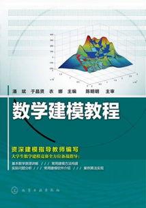 数学建模视频,揭秘数学模型构建与应用技巧