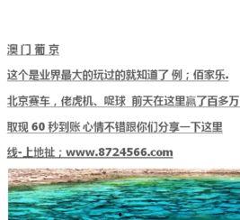 锦州合声视频,探寻城市旋律中的文化底蕴