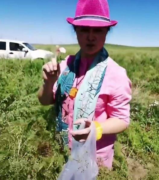 采蘑菇视频大全