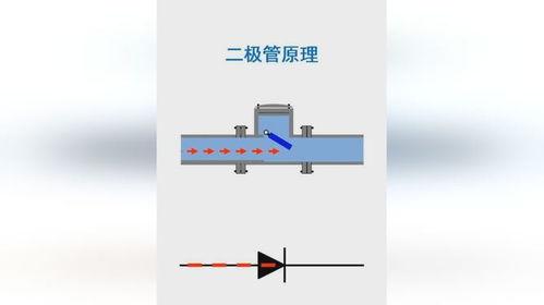 二极管原理视频,揭秘电子世界的基石