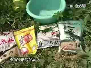 化氏王超钓鱼视频,视频教学带你领略钓鱼高手风采